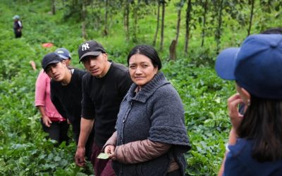 MinAgricultura destinó $2.000 millones para el programa ‘Ella Alimenta al Mundo’