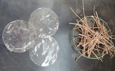 Desarrollan bioplástico transparente a partir de residuos de la poda del olivo