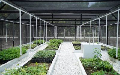 GreenYellow Colombia inaugura vivero bioclimático automatizado que funciona con energía solar