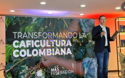 La Federación Nacional de Cafeteros habló del incremento de la producción en 31%