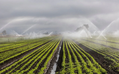 Proyecto iRAIN: inteligencia artificial para la reutilización de aguas residuales en el sector agrícola