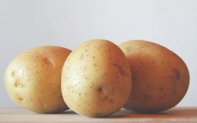 Spuds in crisis: Climate change hits European and global potato industry