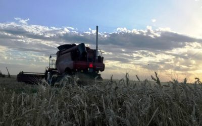 “El reconocimiento de la propiedad intelectual es el combustible para el mejoramiento genético”