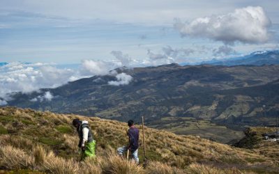 Los efectos jurídicos que tendría el proyecto de jurisdicción agraria del Gobierno