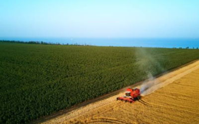 La agricultura crece, pero no de manera consistente