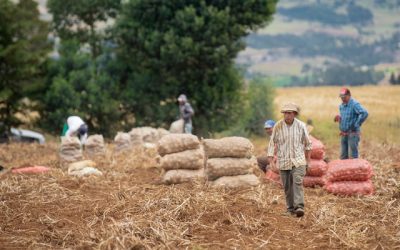 Boyacá fortalece su posición en el sector agrícola con rutas de distribución claves en Sogamoso