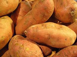 Lucha contra los insectos con big data: el escudo genómico-metagenómico de la batata contra las plagas