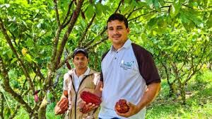 Familias del municipio de Valdivia, Antioquia sustituyeron cultivos de coca por cacao