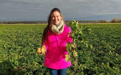 Argentina: tendencias en la producción agroecologica