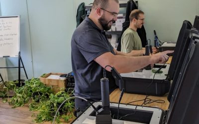 Introducing Custom Critical Levels – A New Way to Elevate Your Potato Fertilizer Strategy