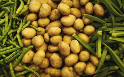 Colombia: inteligencia artificial aplicada al agro