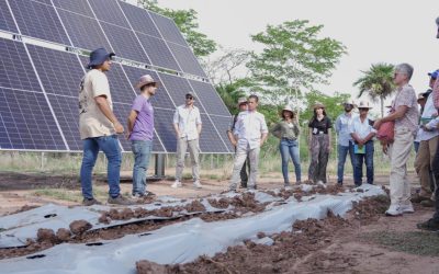 Colombia inicia proyectos de minigranjas solares en frutales