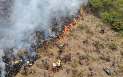 Los retos medioambientales del país en la antesala de la COP16 de Cali