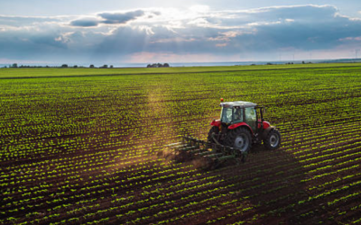 Exportaciones agropecuarias crecieron 13,1 % en valor y 7 % en volumen durante julio