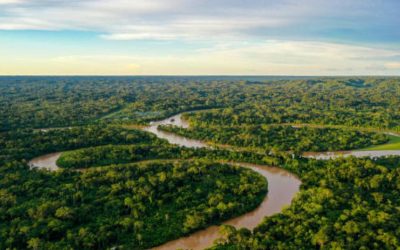 Colombia trabaja con comunidades en un plan para contener deforestación en la Amazonía