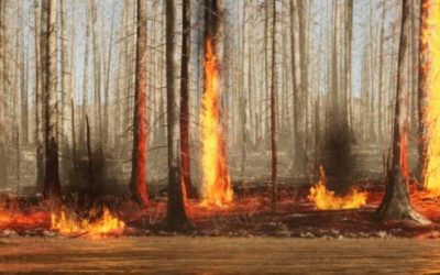 Colombia enfrenta un desafío ambiental marcado por incendios y escasez de agua