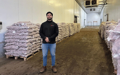 Primera exportación de papa semilla de Argentina: un punto de inflexión para la agricultura latinoamericana