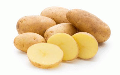 Cómo aumentar el rendimiento de la patata: cómo garantizar la calidad del material de siembra para una cosecha exitosa