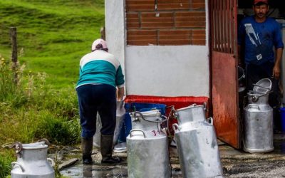 Gremios celebran impuesto para leche gringa, pero piden centrar esfuerzos en recuperar el consumo