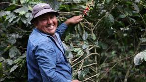 La carga interna de café debe estar sobre los $2,5 millones para favorecer productores