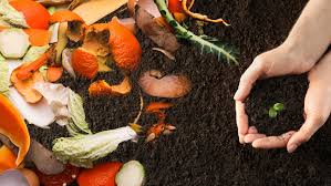 La técnica del compostaje como alternativa para el aprovechamiento de los alimentos