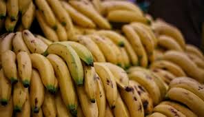 Las exportaciones de frutas este año aumentaron 48,5%, frente a los datos de 2023