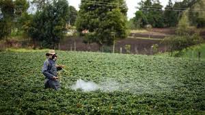 Yara lanza una línea de bioestimulantes para el cuidado de los cultivos y el ambiente