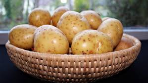 Potatoes in 2050: A vision for the future of the global potato industry
