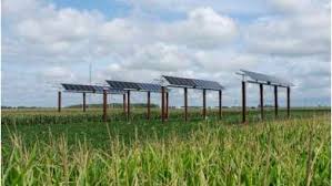 Simulaciones validadas optimizan la generación de energía solar con agricultura de cultivos en hileras