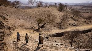 Los países pobres necesitarán US$500.000 millones al año para los efectos climáticos