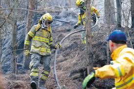 Incendios forestales activos se extienden por más de 13 mil hectáreas en Colombia