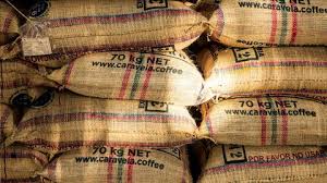 El precio de la carga de café pergamino seco cerró en su valor más alto desde 2022