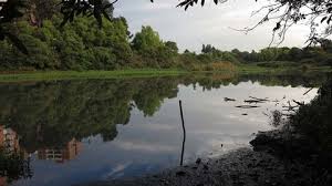 Admiten demanda de la Fede contra MinAmbiente sobre los humedales en Bogotá