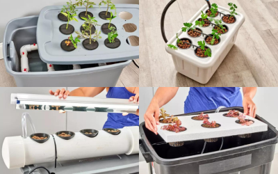 Cómo elegir un sistema hidropónico casero (DIY)