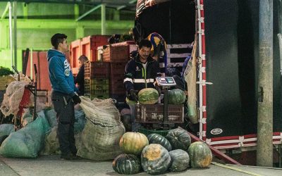 Tras fin del paro camionero, MinAgricultura inicia plan de acción para acelerar salida de alimentos represados