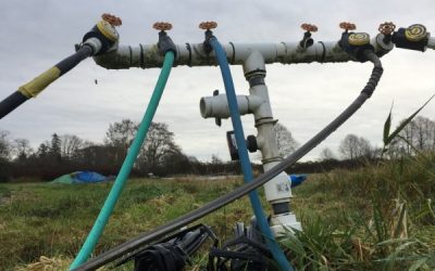 Patata: relaciones hídricas y gestión del agua