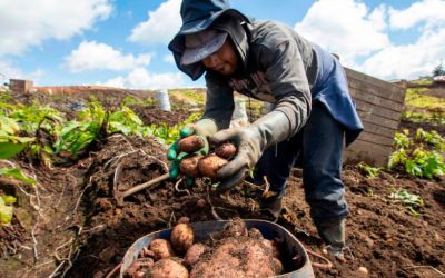 En Antioquia van a destinar $73.000 millones en créditos para evitar que miles de personas acudan al gota a gota