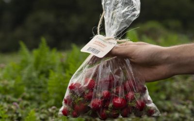 Exportaciones agropecuarias de Colombia registran un crecimiento sostenido