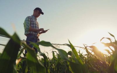 Importaciones en el sector agropecuario se redujeron en julio