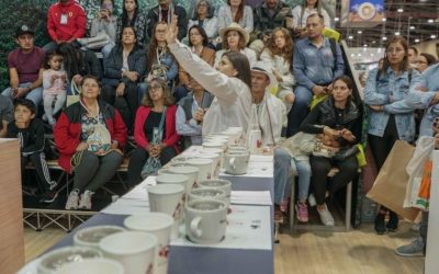 Los cafés de especialidad podrían ser motor del desarrollo rural colombiano