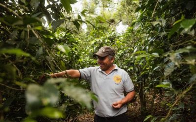 Banco de Bogotá impulsa la inclusión financiera de los caficultores