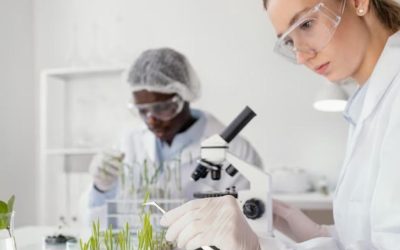 La bioingeniería se perfila como factor clave para garantizar la seguridad alimentaria