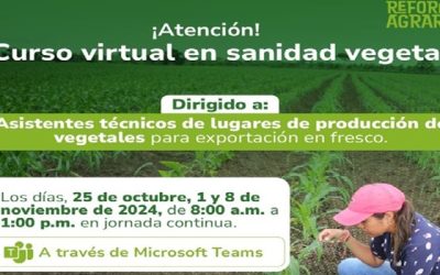 El ICA realizará curso en Sanidad Vegetal para asistentes técnicos de cultivos