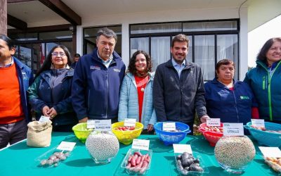 Chile: apoyo gubernamental al sector productivo