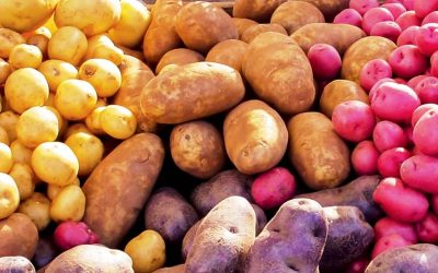 Ecuador: sequías y heladas comprometen producción pero precios suben