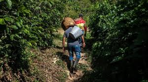 ¿Por qué se eliminaron los artículos del contrato agropecuario en la reforma laboral?