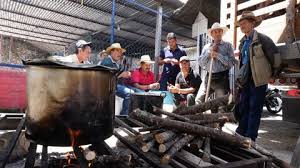Por paro minero, reportan que hay más de 4.000 litros de leche sin vender en Boyacá