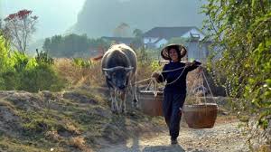 China quiere aumentar la producción de alimentos con un plan quinquenal agrícola