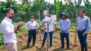 Se implementará una red de estaciones meteorológicas para los cultivos de banano