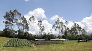 Todo lo que tiene que saber sobre la financiación de Finagro en proyectos sostenibles